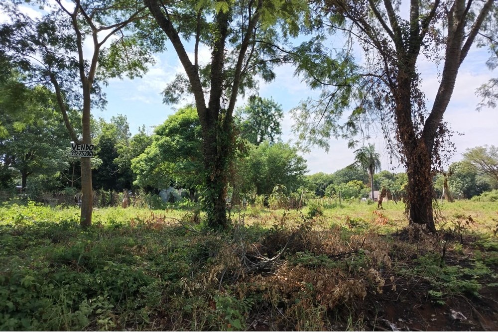 Terreno en venta en Villa Salvador, Areguá — foto 2