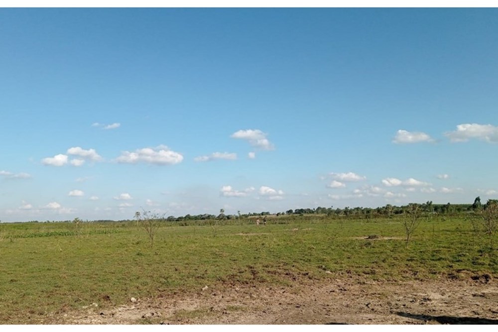 Terreno en venta en Benjamín Aceval — foto 3