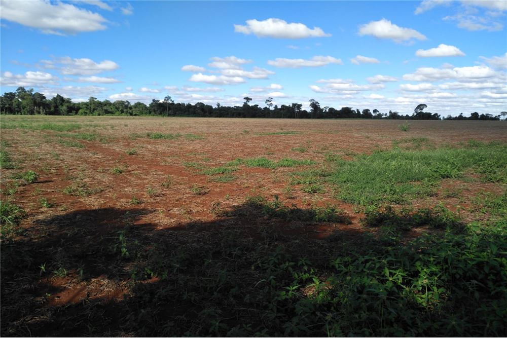 Productivo terreno de tierra colorada, con una reserva de bosque, que lo hace ideal para el cultivo y una residencia en  — foto 2