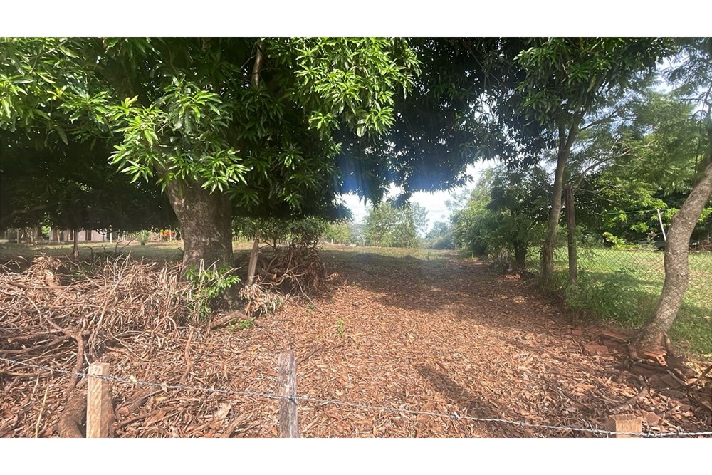 Terreno en venta en Caaguazú — foto 2