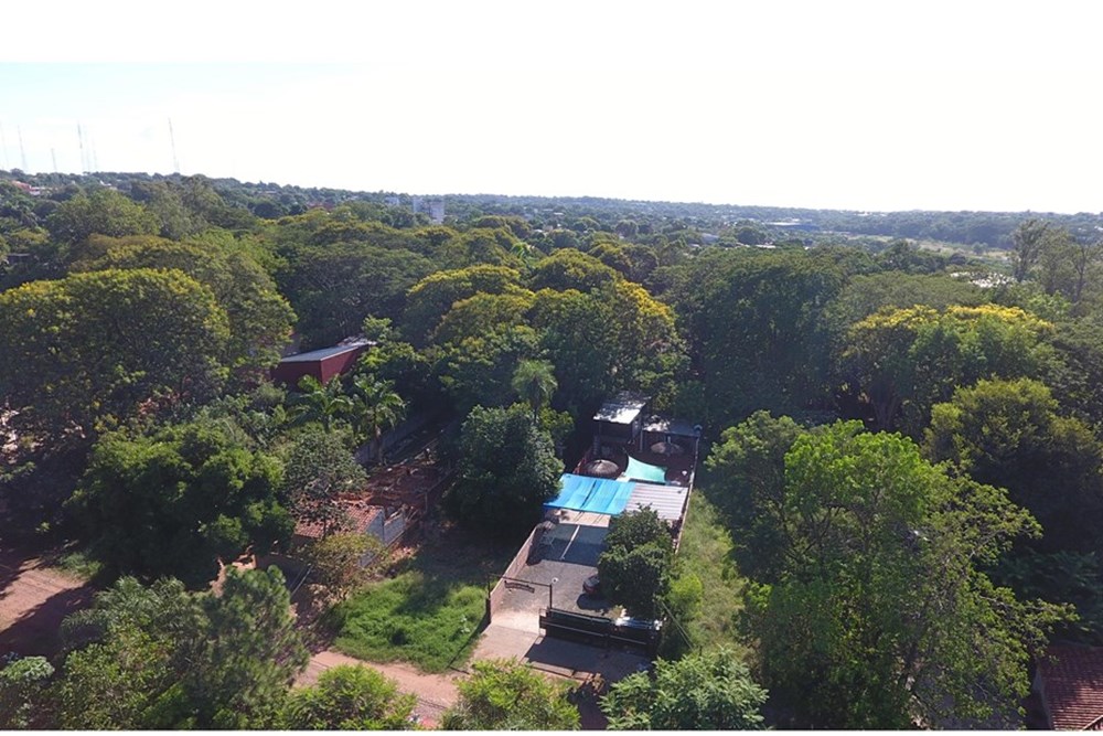Propiedad en venta en Tres Bocas, Villa Elisa — foto 3