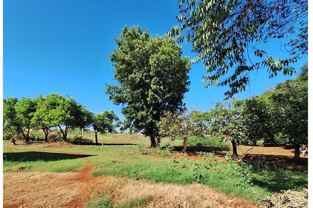 Terreno en venta en Tomás Romero Pereira — foto 2