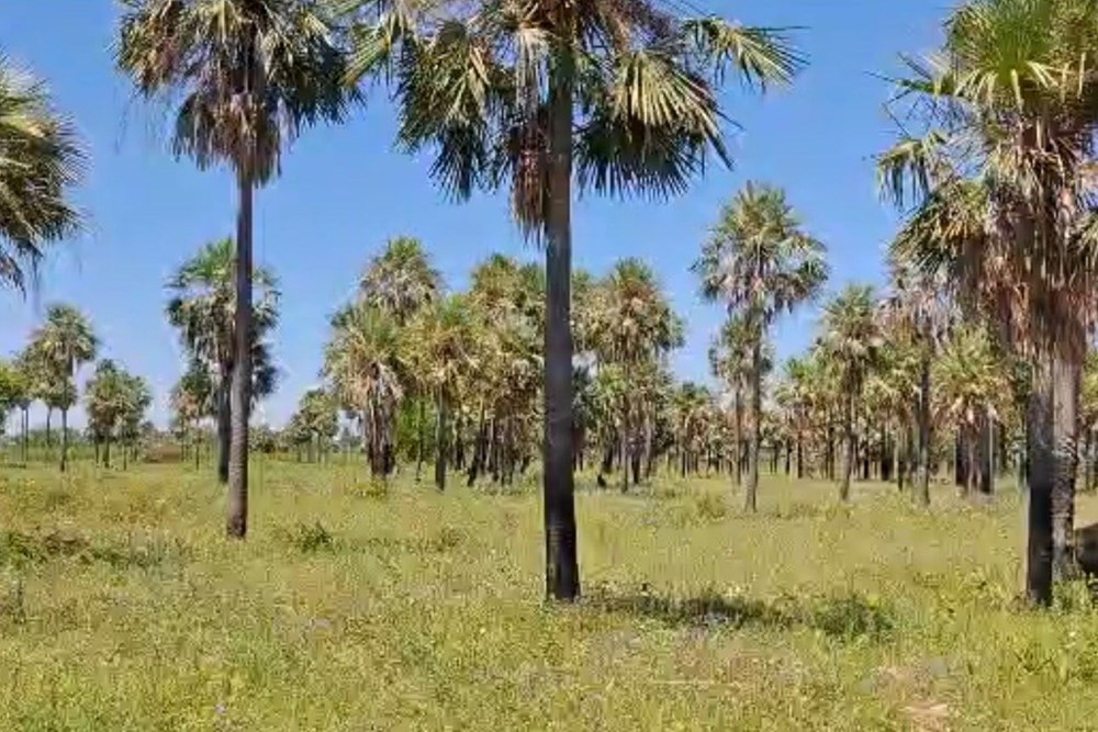 Terreno en venta en Villa Hayes — foto 2