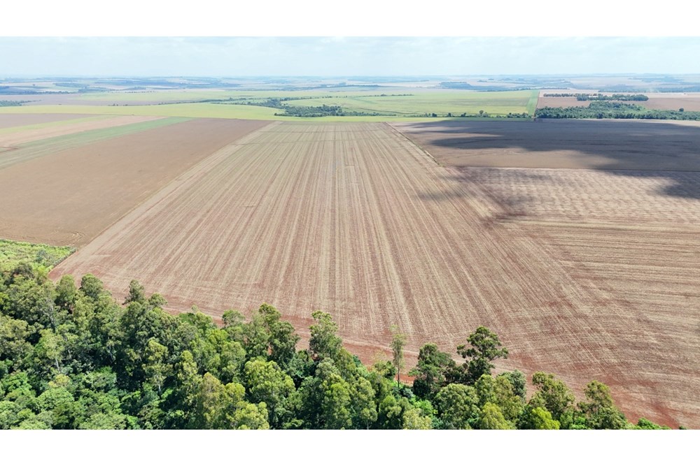 Campo en venta en Santa Rita — foto 2