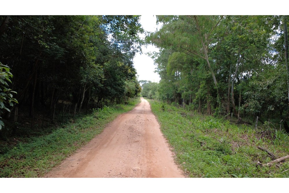 Terreno en venta en Eusebio Ayala — foto 3