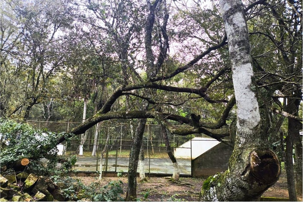 Terreno en venta en Coronel Oviedo — foto 2