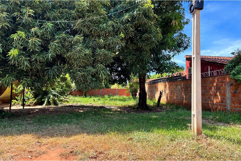 🌳 Hermoso terreno a la venta en Luque 🌳 — foto 2