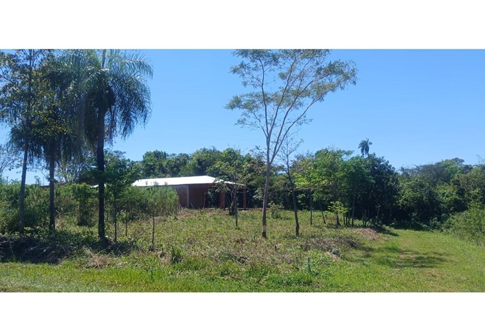 Terreno en venta en San Juan Del Paraná — foto 3