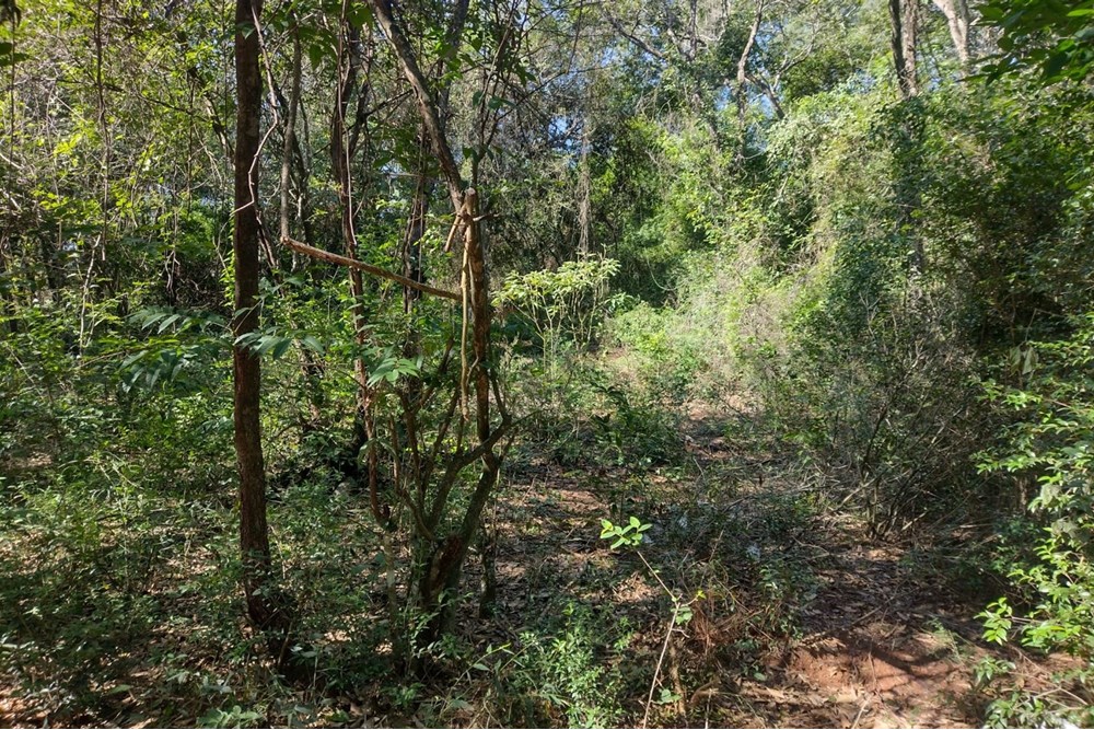 Terreno en venta en Kokue Guasu, Areguá — foto 3