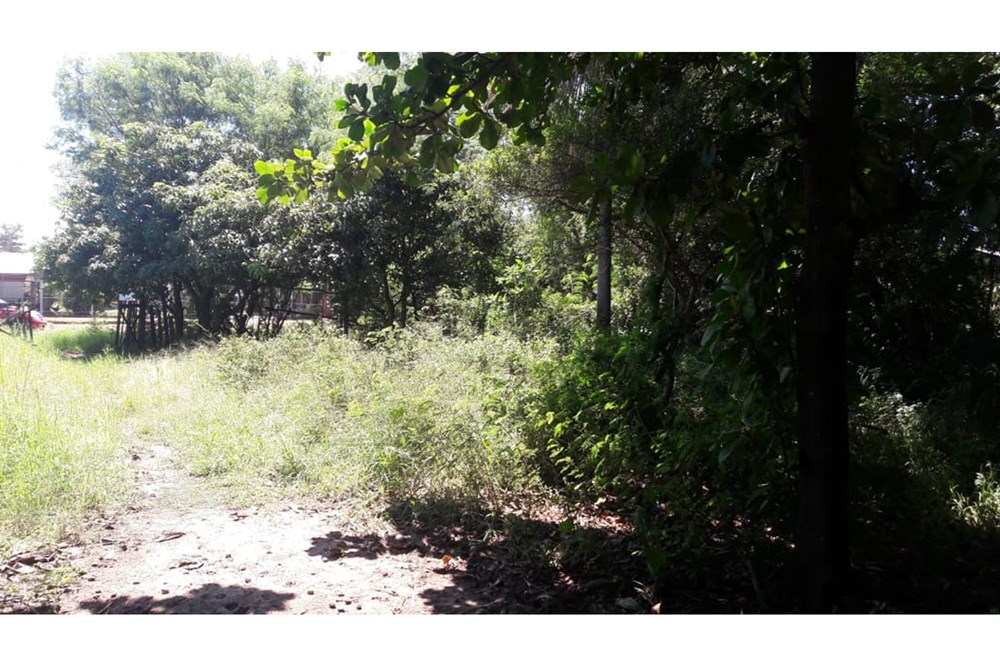 ¡Oportunidad única! Se vende amplio terreno de 600 m² en el reconocido barrio Santa Lucía, ubicado en la ciudad de Limpi — foto 3