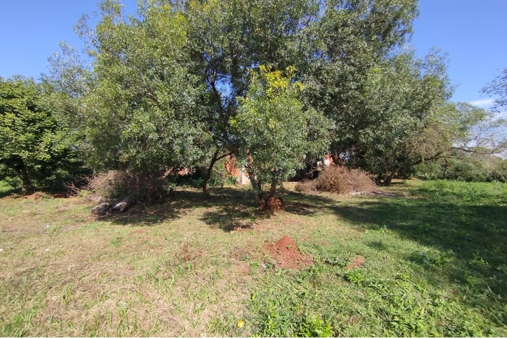 Terreno en venta en San Ignacio — foto 3