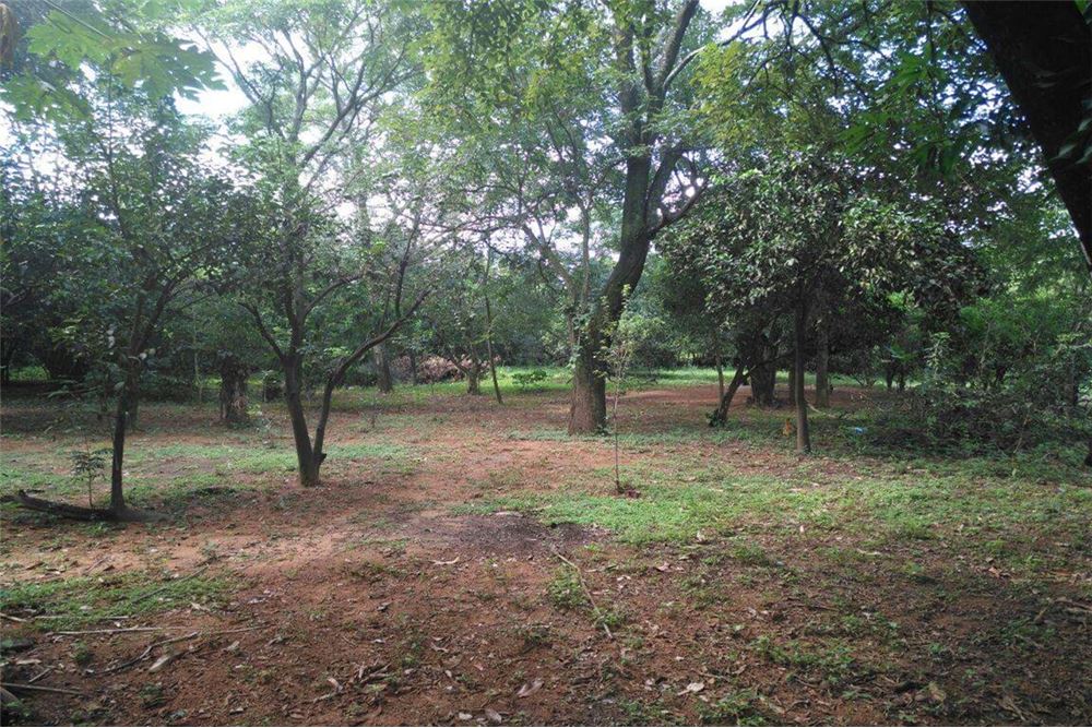 Terreno en venta en Limpio — foto 2