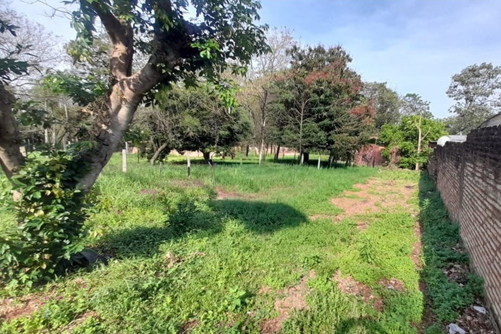 Terreno en venta en Remanso, Villa Elisa — foto 3