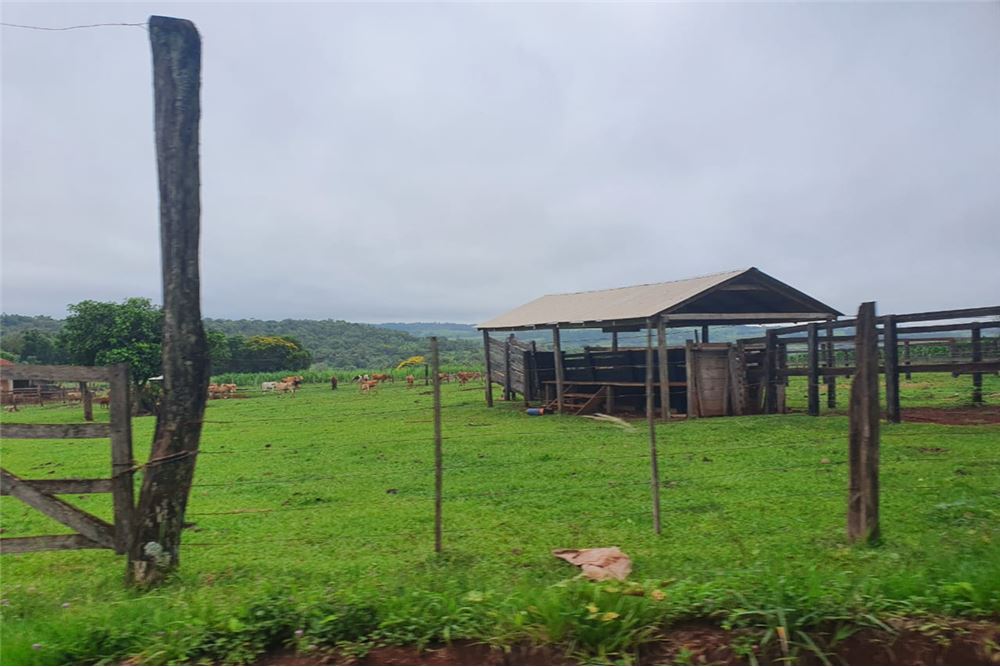 Amplio campo con todo lo que un buen inversionista busca, renta asegurada inmediata.- — foto 3