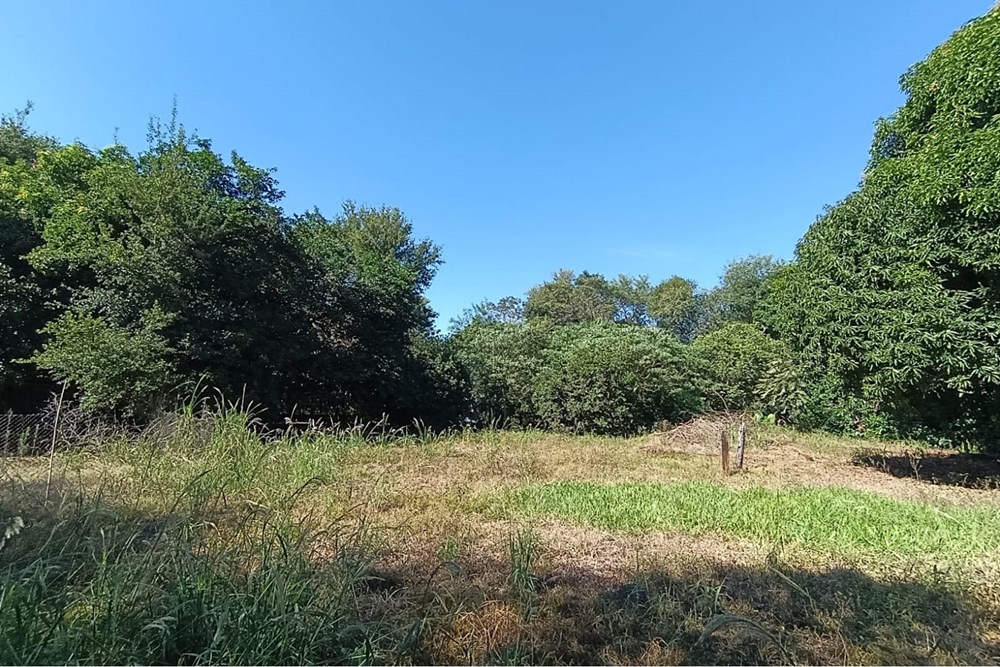 Terreno en venta en San Ignacio — foto 2