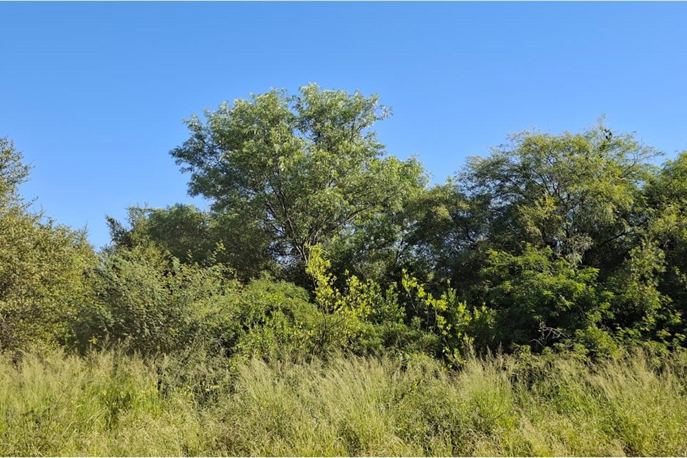Terreno en venta en Filadelfia — foto 3