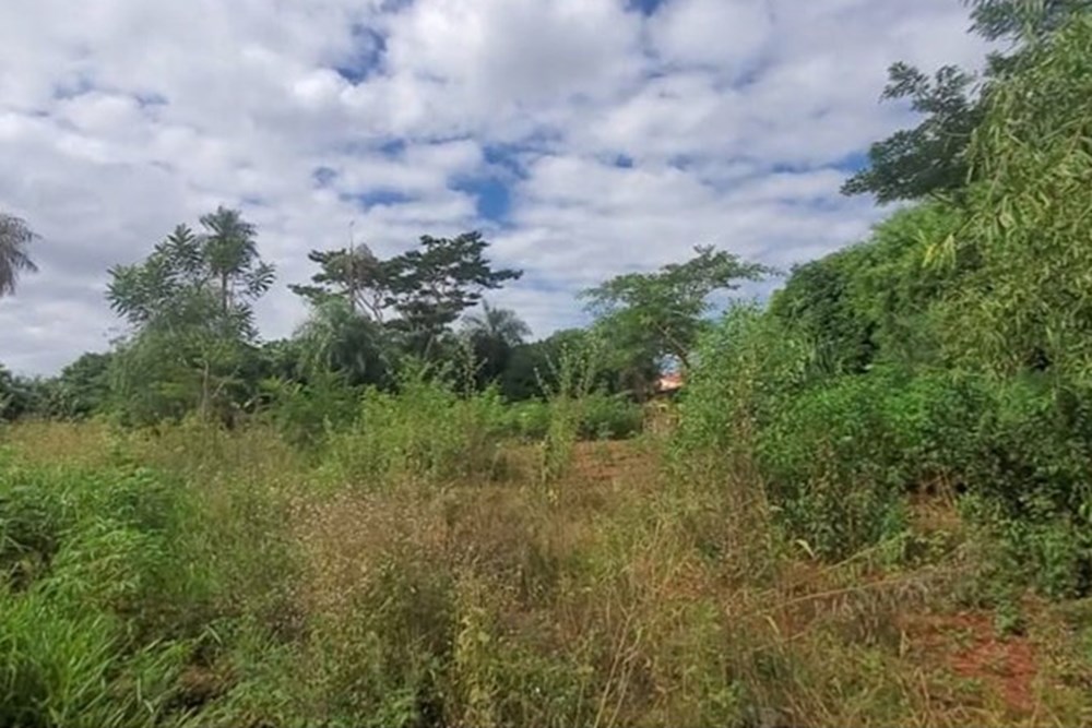 Terreno en venta en Mbokajaty, Julián Augusto Saldívar — foto 3