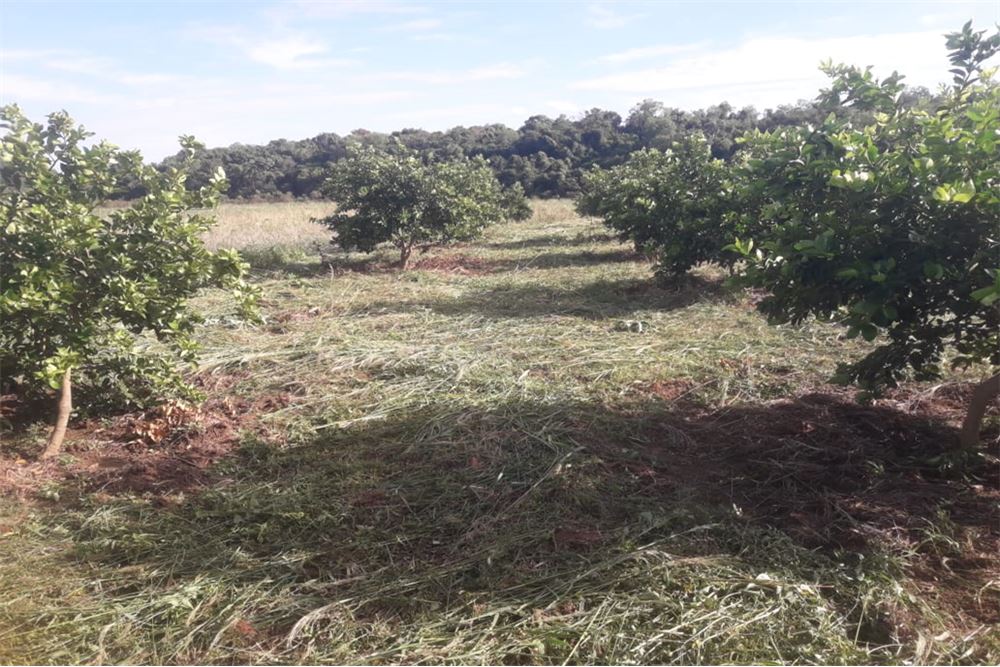 Campo en venta en San Juan Nepomuceno — foto 2