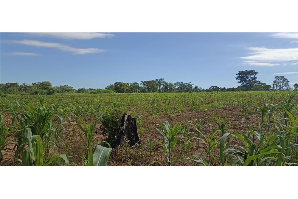 Terreno en venta en Mbuyapey — foto 2