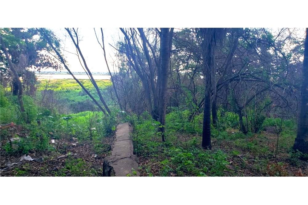 Alquilo amplio terreno al lado de Puerto Seguro, Barrio Caacupemi — foto 3