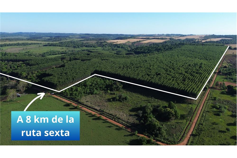 Terreno en venta en Santísima Trinidad, Asunción — foto 3