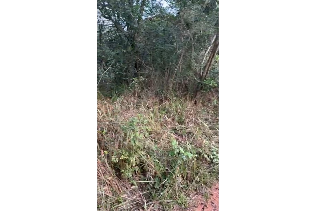 Terreno en Venta Areguá, Isla Valle — foto 2