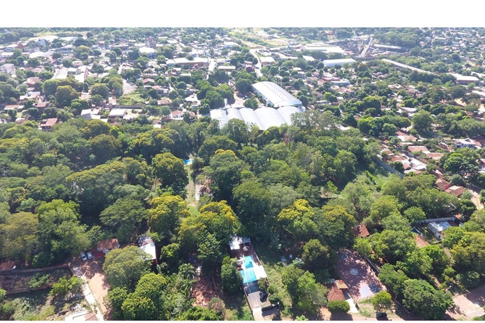Propiedad en venta en Tres Bocas, Villa Elisa — foto 2