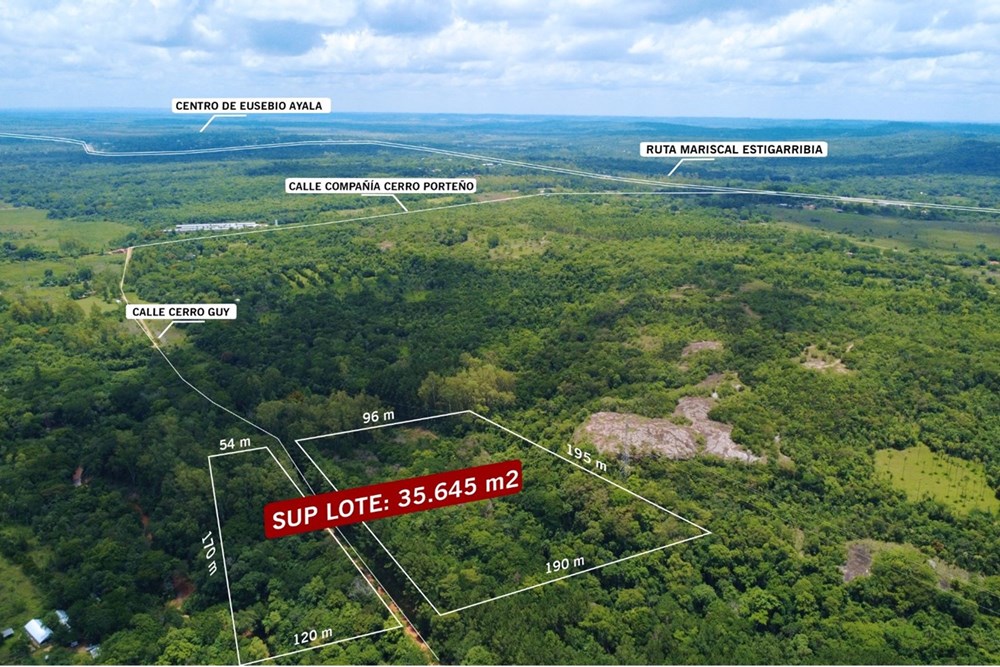 Terreno en venta en Eusebio Ayala — foto 2