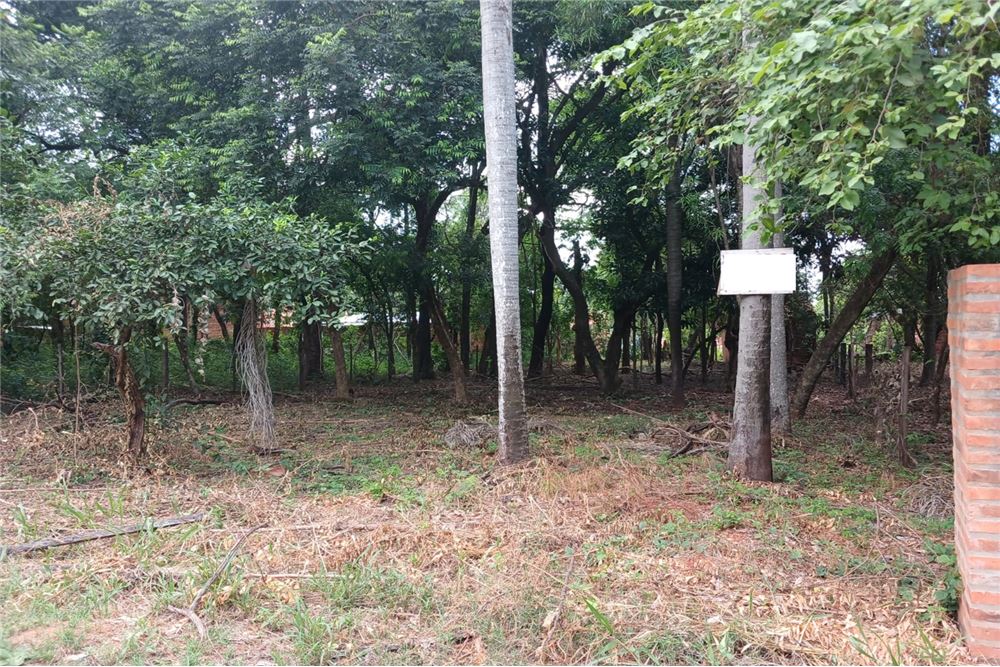 Terreno en venta en María Auxiliadora, Mariano Roque Alonso — foto 3