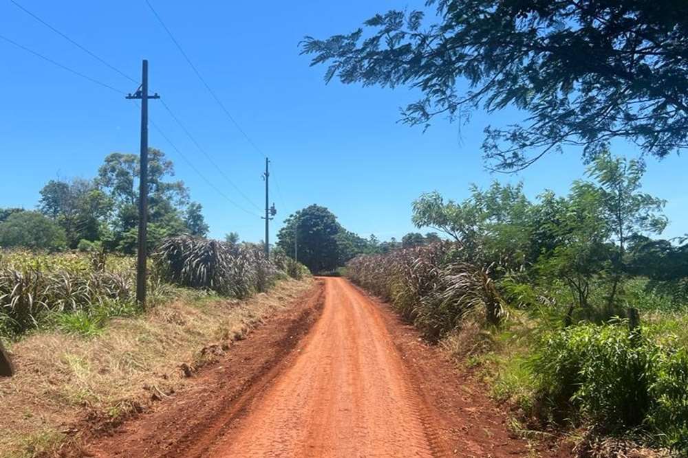 Terreno completamente mecanizado para plantación, ubicado estratégicamente, ha sido cuidadosamente preparado para ofrece — foto 3