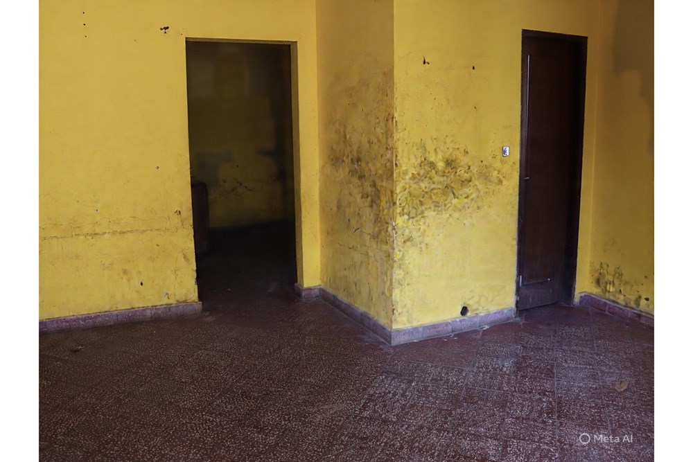Terreno en venta en Villa Elisa — foto 3