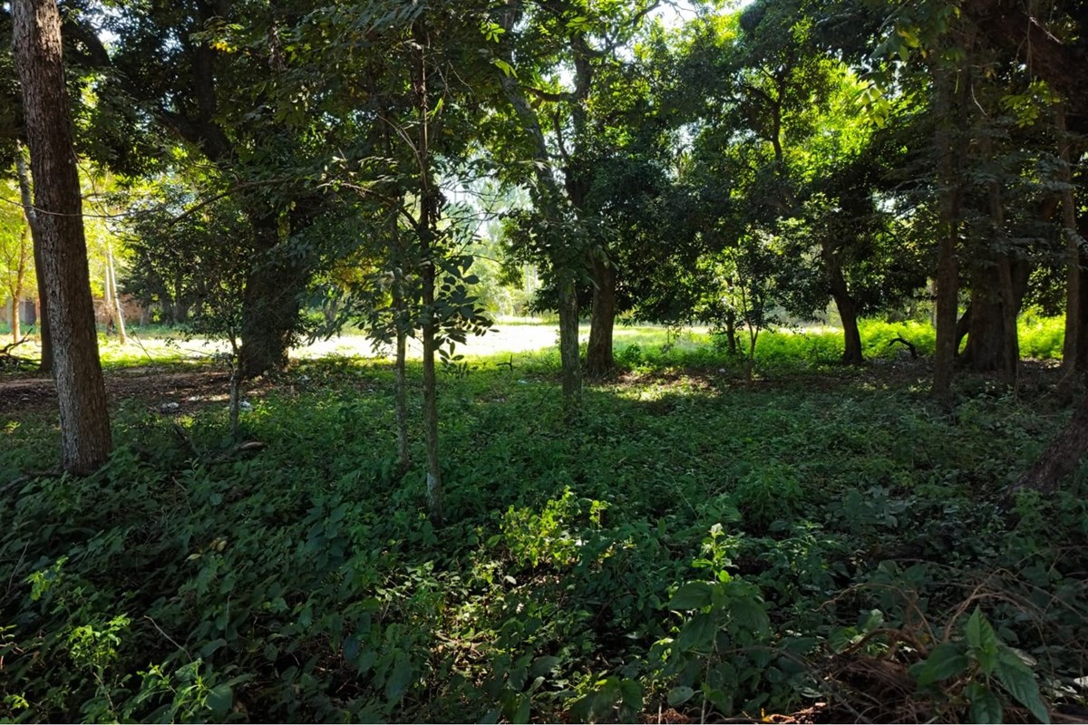 Terreno de 2.160 m² disponible para alquiler en una ubicación estratégica dentro del distrito de Capiatá, con excelente  — foto 3