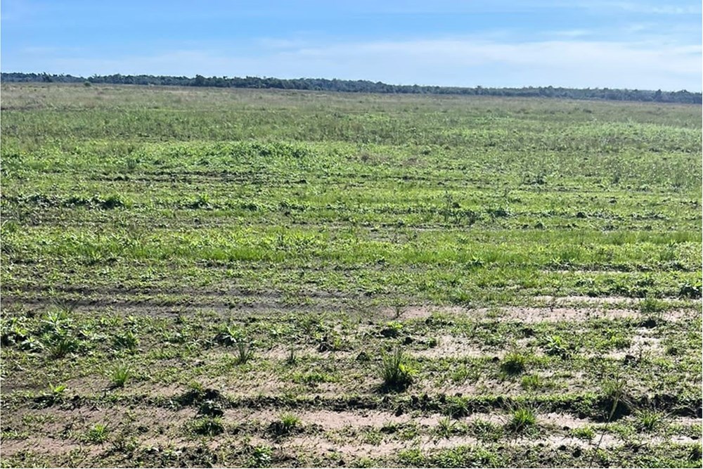 La propiedad cuenta con 170 hectáreas de tierra mixta arcillosa, ya mecanizadas, listas para sembrar, el resto de la par — foto 2