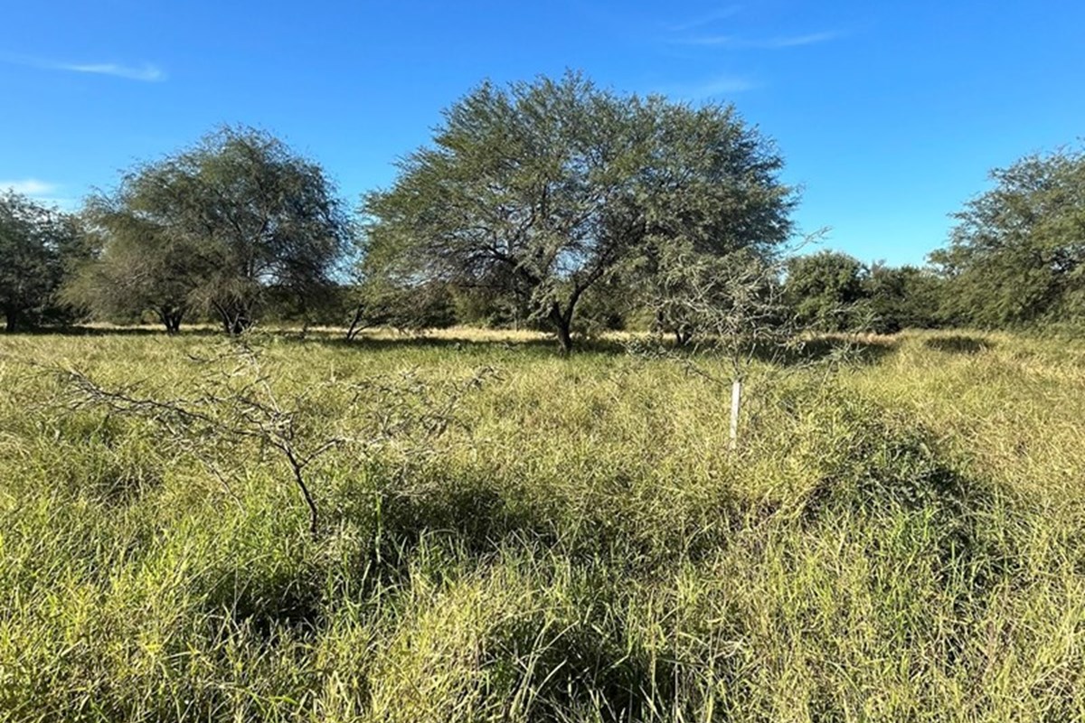¡Ubicación Estratégica para tu Proyecto Comercial en el Chaco! — foto 3