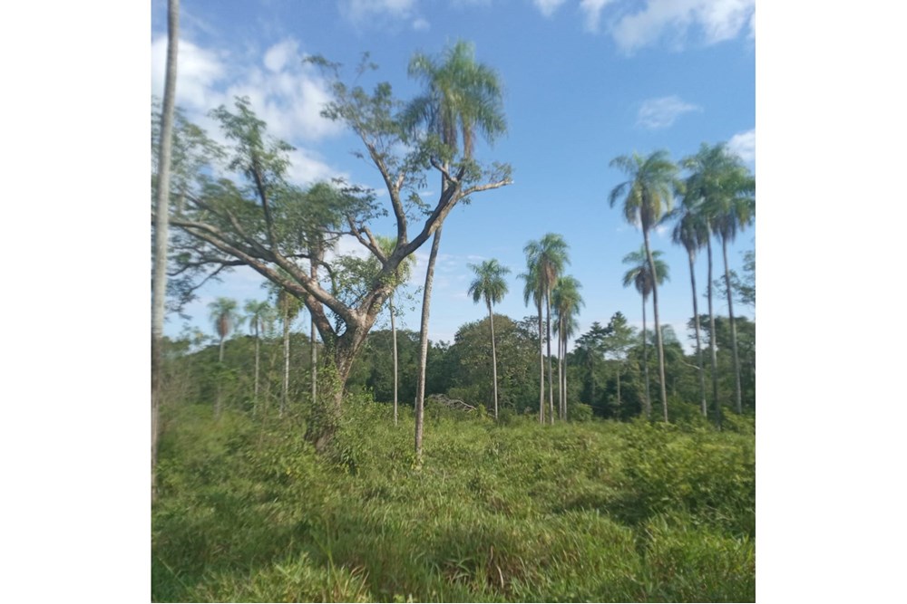 Terreno en venta en Emboscada — foto 2