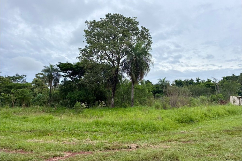 ¡Bienvenido a tu próximo gran proyecto de inversión en San Juan Del Paraná, Itapúa! Ubicada en la prestigiosa Fracción M — foto 2