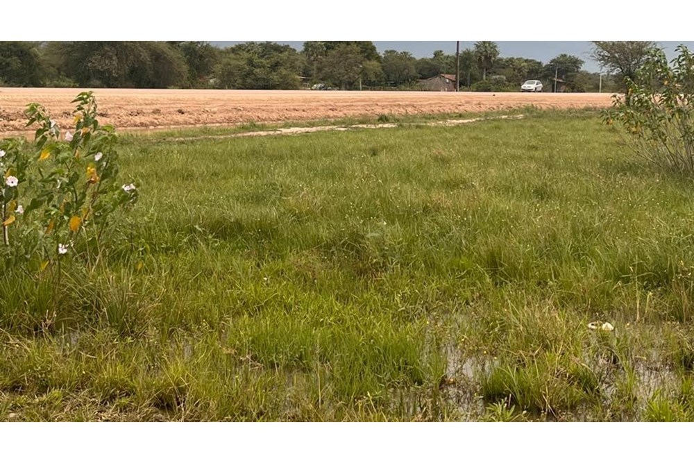 Terreno en venta en Doctor José Falcón — foto 3