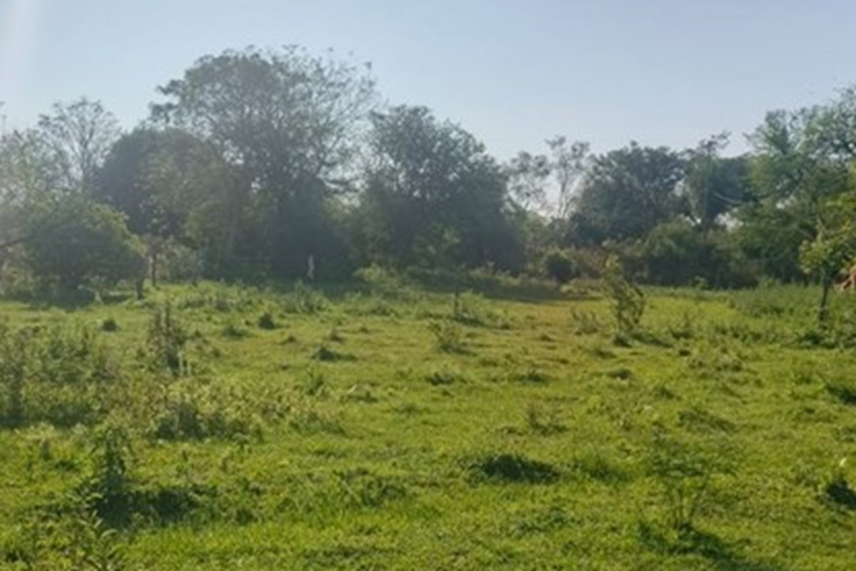 VENDO TERRENO DOBLE EN A METROS DE LA RUTA YPACARAI - PIRAYU — foto 2