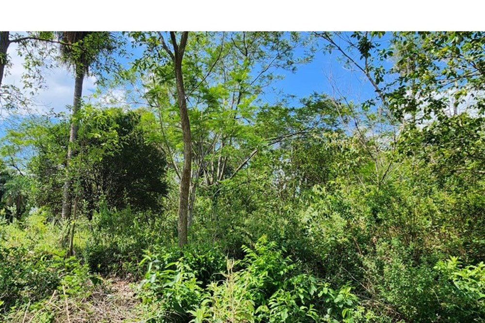 Terreno en venta en Mbayué, Limpio — foto 2