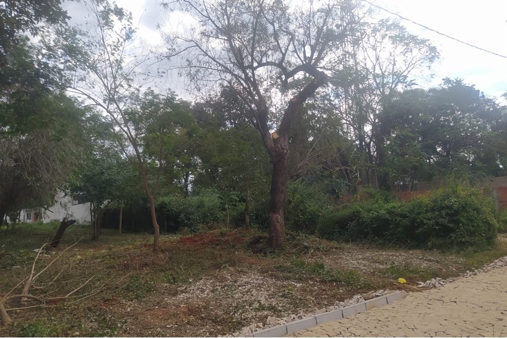 Terreno en venta en Loma Merlo, Luque — foto 2