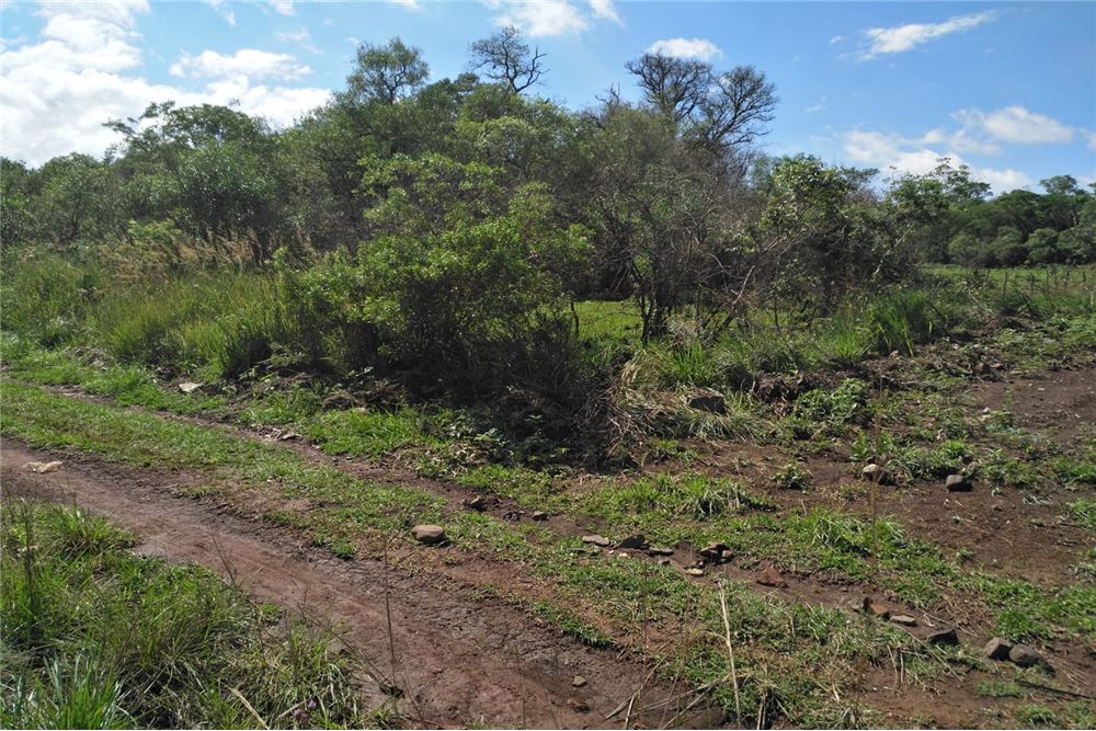 Amplia propiedad sobre la Ruta N°6, ideal para inversionistas o proyectos de loteamiento, tomando en cuenta que se encue — foto 3