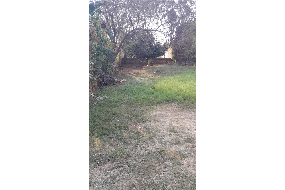 VENDO TERRENO EN CAPIATA,CANDELARIA — foto 3
