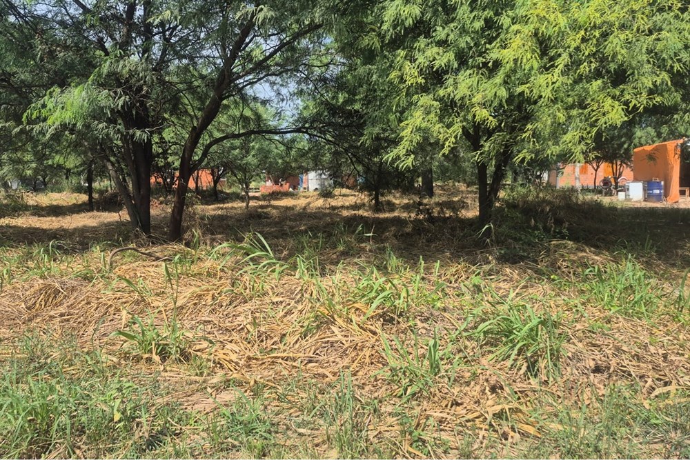 Terreno en venta en Filadelfia — foto 2