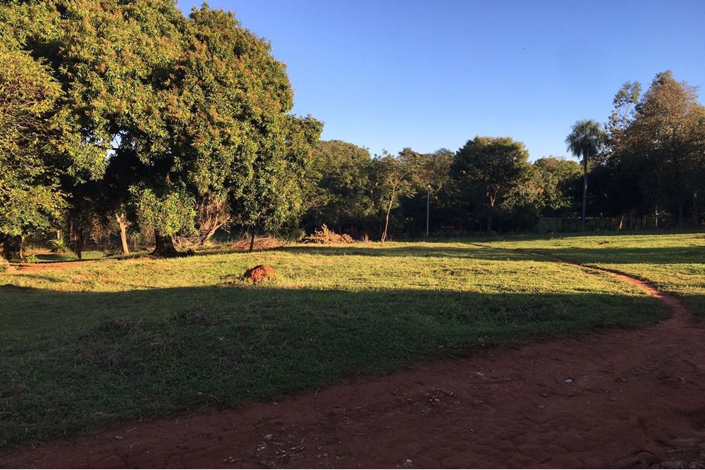 VENDO AMPLIO TERRENO EN ITAUGUA - MBOKAJATY — foto 2