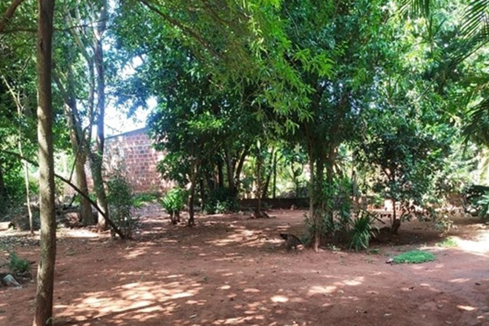 Terreno en venta en Caacupemí, Areguá — foto 2