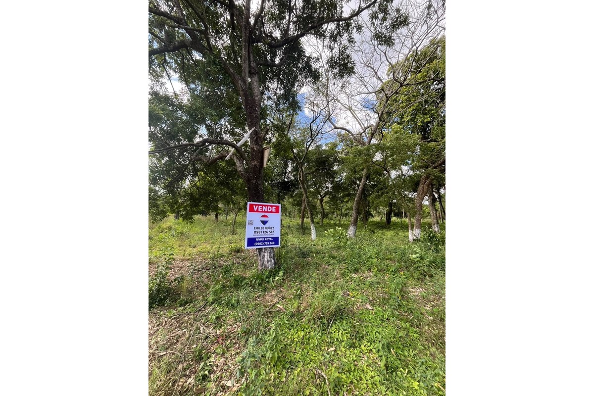 Terreno en venta en Caacupé — foto 2