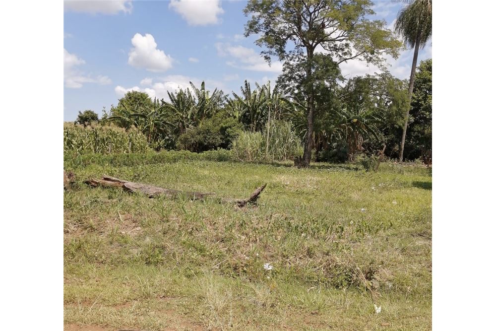 Terreno en venta en Las Lomas, San Juan Del Paraná — foto 3
