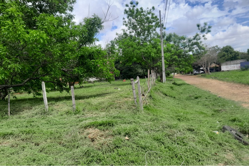 Terreno en venta en Cerrito, Capiatá — foto 2