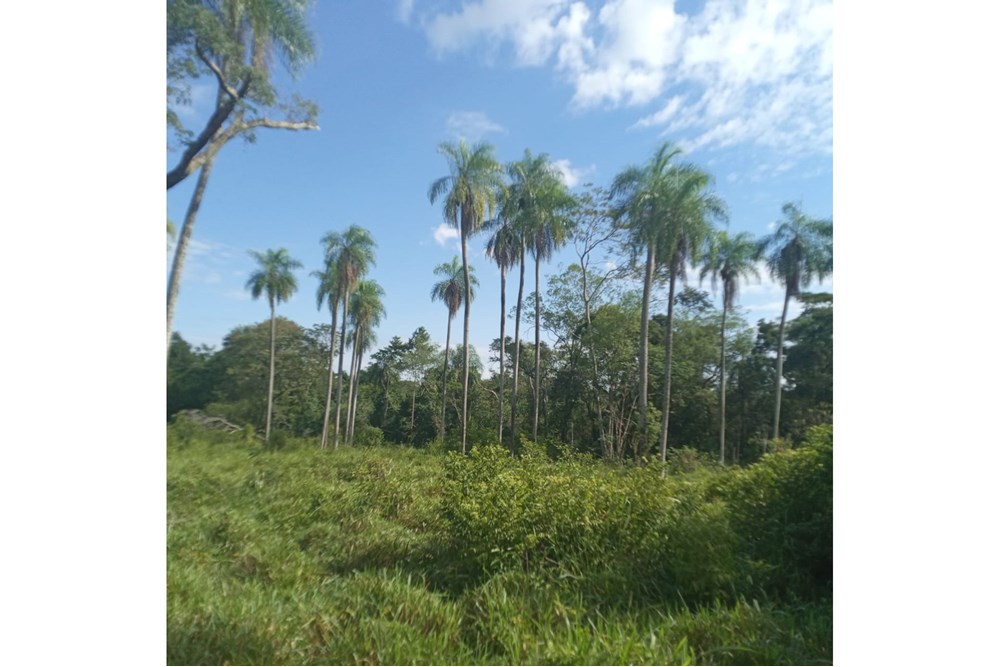 Terreno en venta en Emboscada — foto 3