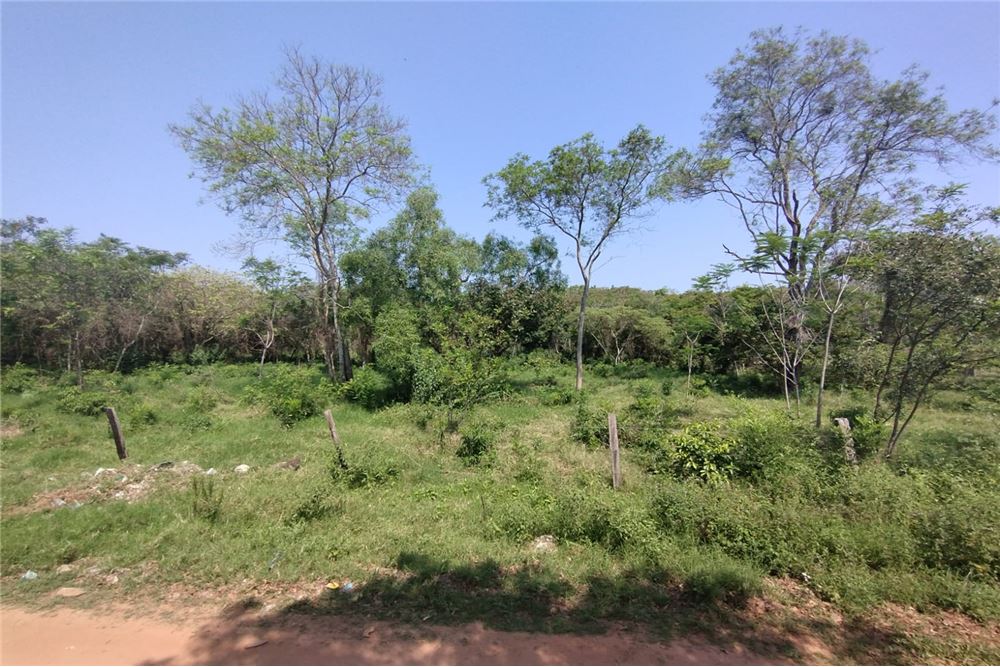 En venta hermoso terreno de 3087m2 de calle a calle en pleno centro de la ciudad de Eusebio Ayala a 2 cuadras de la muni — foto 2